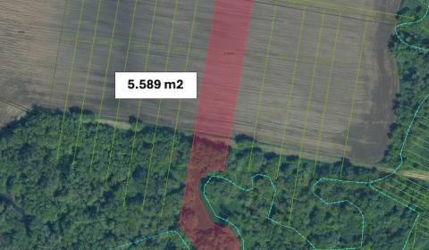 Sale Agrarian and forest land, Agrarian and forest land, Nové Zámky, S