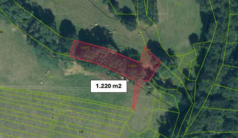 Sale Agrarian and forest land, Agrarian and forest land, Veľký Krtíš, 