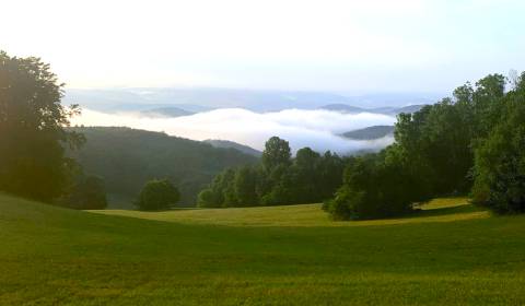 Sale Agrarian and forest land, Agrarian and forest land, Trenčín, Slov