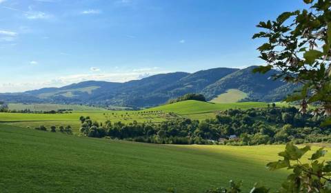 Sale Agrarian and forest land, Agrarian and forest land, Púchov, Slova