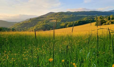 Sale Agrarian and forest land, Agrarian and forest land, Žiar nad Hron