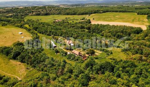 Sale Production premises, Production premises, Čekovce, Krupina, Slova