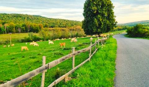 Sale Agrarian and forest land, Agrarian and forest land, Lučenec, Slov