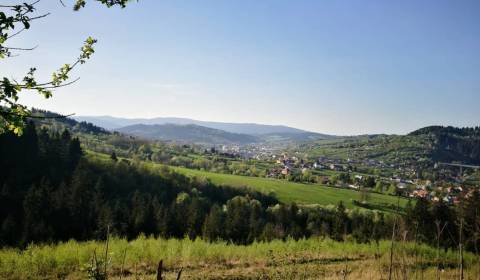 Sale Agrarian and forest land, Agrarian and forest land, Čadca, Slovak