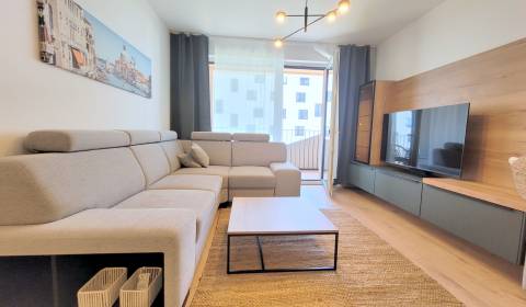 Rent One bedroom apartment, One bedroom apartment, Zavodu Matador, Bra