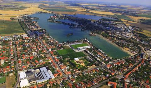 Sale Agrarian and forest land, Agrarian and forest land, Senec, Slovak