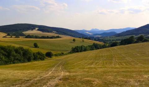 Sale Agrarian and forest land, Agrarian and forest land, Púchov, Slova