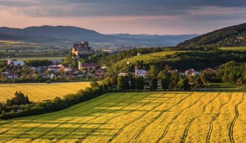 Sale Agrarian and forest land, Agrarian and forest land, Nové Mesto na