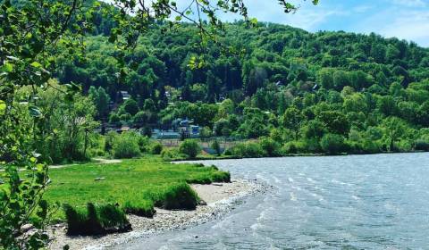 Sale Agrarian and forest land, Agrarian and forest land, Zvolen, Slova