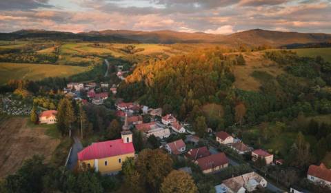 Sale Agrarian and forest land, Agrarian and forest land, Detva, Slovak