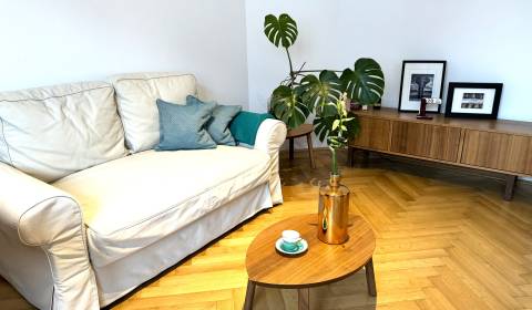 Rent One bedroom apartment, One bedroom apartment, Vysoká, Bratislava 