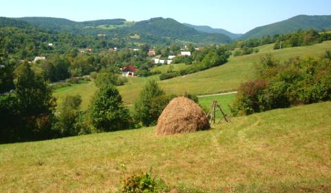 Sale Agrarian and forest land, Agrarian and forest land, Považská Byst