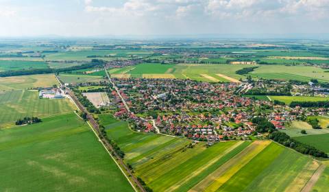 Sale Agrarian and forest land, Agrarian and forest land, Dunajská Stre