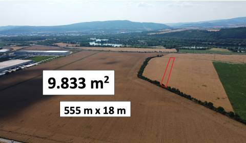 Sale Agrarian and forest land, Agrarian and forest land, Nové Mesto na