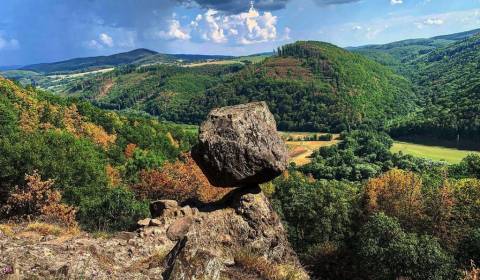 Sale Agrarian and forest land, Agrarian and forest land, Púchov, Slova