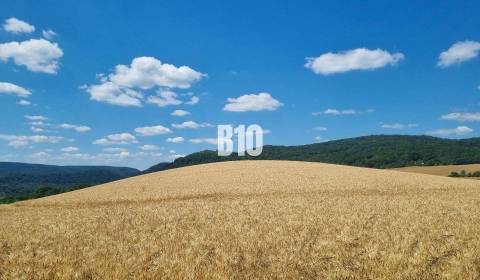 Sale Land – for living, Land – for living, Martin, Slovakia