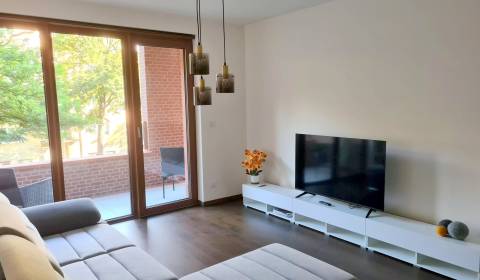 Rent One bedroom apartment, One bedroom apartment, Košická, Bratislava