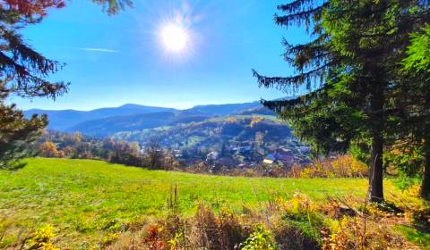 Sale Agrarian and forest land, Agrarian and forest land, Žiar nad Hron