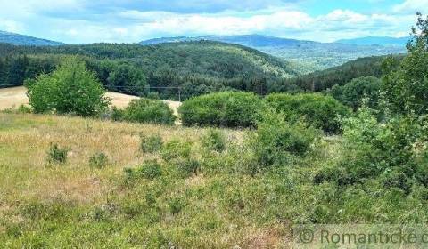 Sale Agrarian and forest land, Agrarian and forest land, Lučenec, Slov