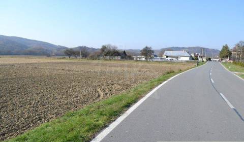 Sale Agrarian and forest land, Agrarian and forest land, Bardejov, Slo