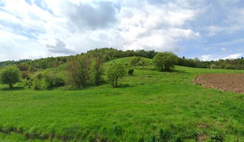 Sale Agrarian and forest land, Agrarian and forest land, Rimavská Sobo