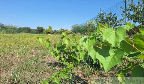 Sale Land – for living, Land – for living, Komárno, Slovakia