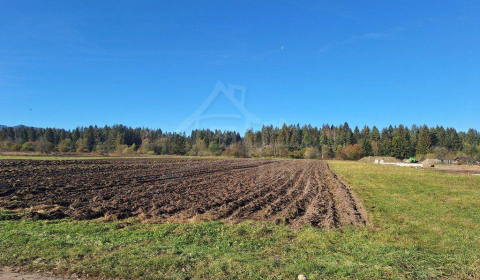 Sale Agrarian and forest land, Agrarian and forest land, Liptovský Mik