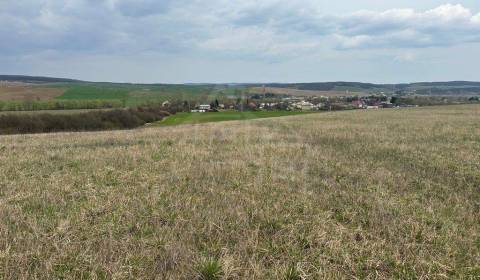 Sale Agrarian and forest land, Agrarian and forest land, Poltár, Slova