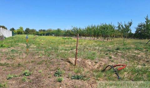 Sale Land – for living, Land – for living, Komárno, Slovakia