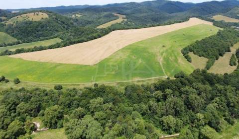 Sale Agrarian and forest land, Agrarian and forest land, Snina, Slovak