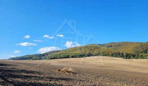 Sale Agrarian and forest land, Agrarian and forest land, Púchov, Slova