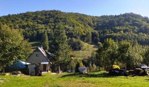 Sale Family house, Family house, Sabinov, Slovakia