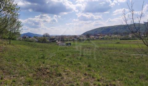 Sale Agrarian and forest land, Agrarian and forest land, Púchov, Slova