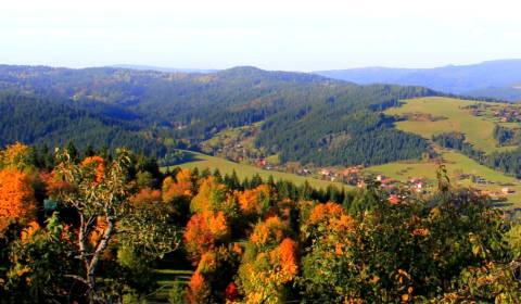 Sale Agrarian and forest land, Agrarian and forest land, Čadca, Slovak