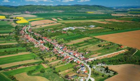 Sale Agrarian and forest land, Agrarian and forest land, Pezinok, Slov