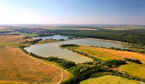 Sale Agrarian and forest land, Agrarian and forest land, Pezinok, Slov