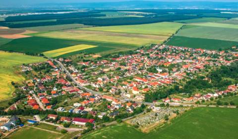 Sale Agrarian and forest land, Agrarian and forest land, Senec, Slovak