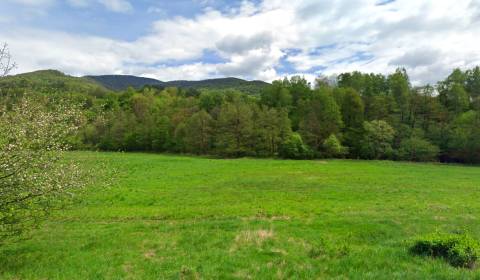 Sale Agrarian and forest land, Agrarian and forest land, Rimavská Sobo