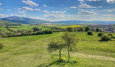 Sale Agrarian and forest land, Agrarian and forest land, Trenčín, Slov