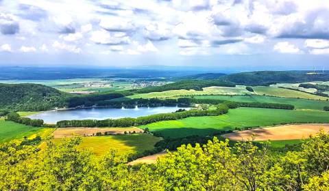 Sale Agrarian and forest land, Agrarian and forest land, Trnava, Slova