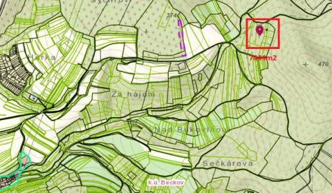 Sale Agrarian and forest land, Agrarian and forest land, Nové Mesto na