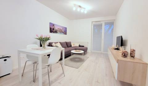 Rent One bedroom apartment, One bedroom apartment, Bratislava - Petrža