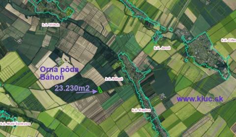 Sale Agrarian and forest land, Agrarian and forest land, Pezinok, Slov