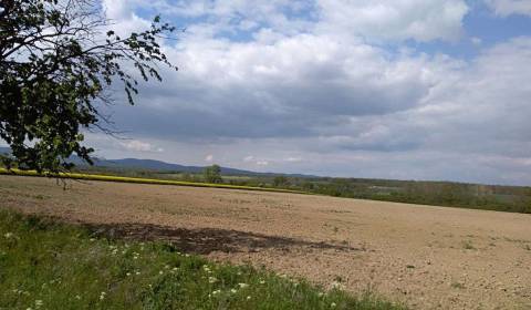 Searching for Land – for living, Land – for living, Pezinok, Slovakia