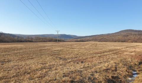 Sale Agrarian and forest land, Agrarian and forest land, Malacká cesta