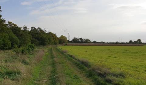 Sale Recreational land, Recreational land, Potočná, Pezinok, Slovakia