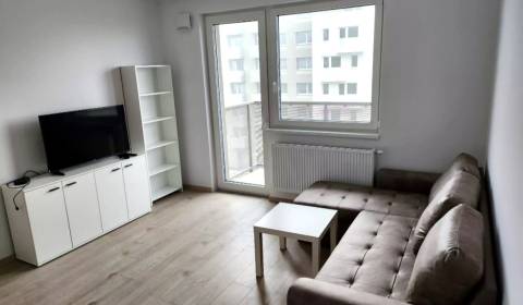 Rent One bedroom apartment, One bedroom apartment, Ivanská cesta, Brat