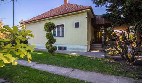 Sale Family house, Family house, Malý Máger, Dunajská Streda, Slovakia