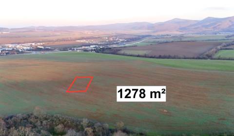 Sale Agrarian and forest land, Agrarian and forest land, Trenčín, Slov