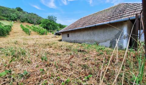 Sale Cottage, Cottage, Levice, Slovakia